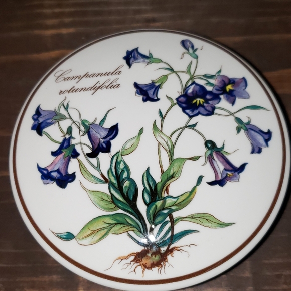 Vintage Villeroy & Boch Porcelain Botanica Trinket